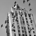 Black and white image of pigeons flying past a skyscraper in New York City.